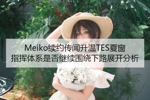 Meiko续约传闻升温TES夏窗指挥体系是否继续围绕下路展开分析