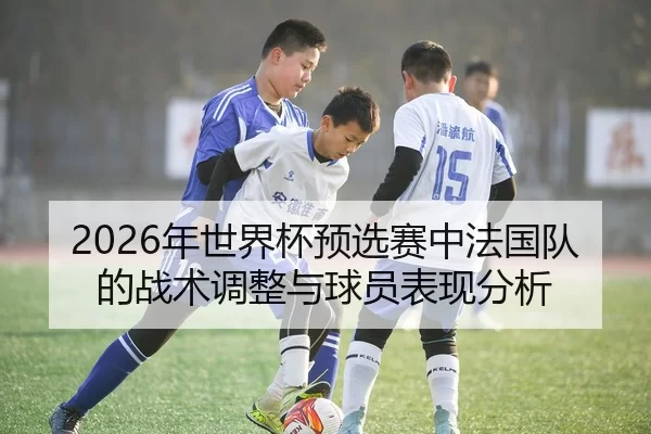 2026年世界杯预选赛中法国队的战术调整与球员表现分析