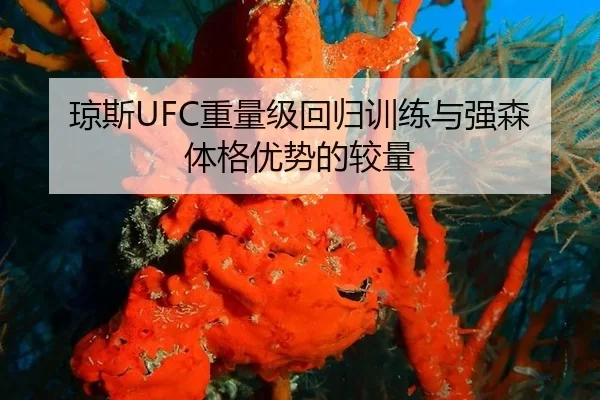 琼斯UFC重量级回归训练与强森体格优势的较量