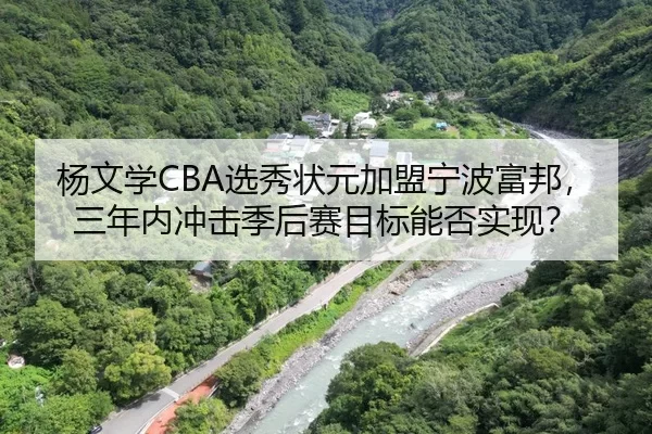 杨文学CBA选秀状元加盟宁波富邦，三年内冲击季后赛目标能否实现？