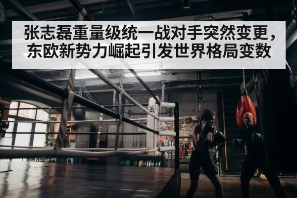 boxer training