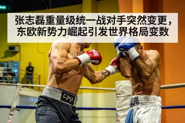 heavyweight boxing