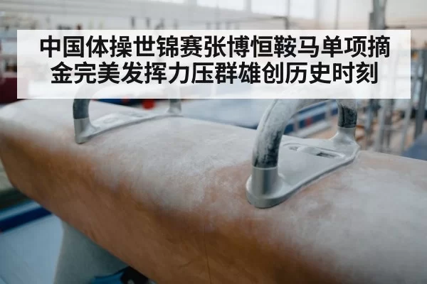中国体操世锦赛张博恒鞍马单项摘金完美发挥力压群雄创历史时刻