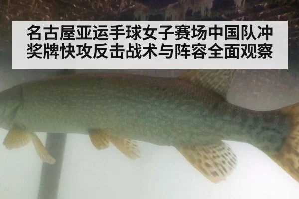 名古屋亚运手球女子赛场中国队冲奖牌快攻反击战术与阵容全面观察